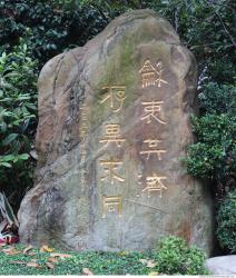 Photo of Mixed Textures